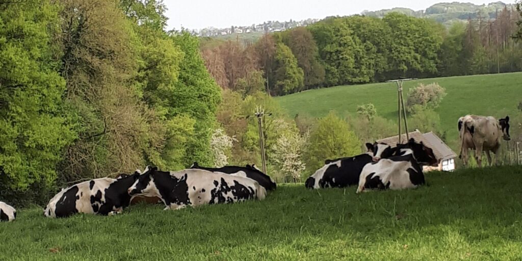 Landwirtschaft und Direktvermarktung an der Strunde im Naturpark Bergisches Land