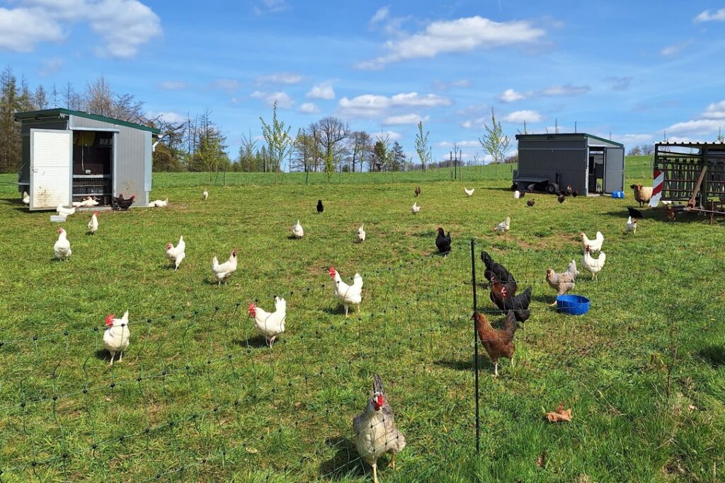 2. Mai 2026 - Tour d'horizon zur Solawi Wipperf&uuml;rth