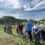 Solawi entdecken: Regional, lecker, solidarisch