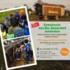 Tour d’Horizont am 27.6.2026